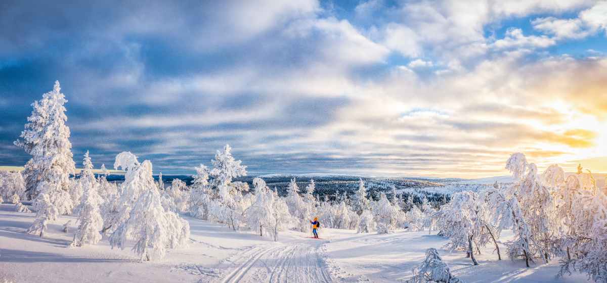 Norway in Winter