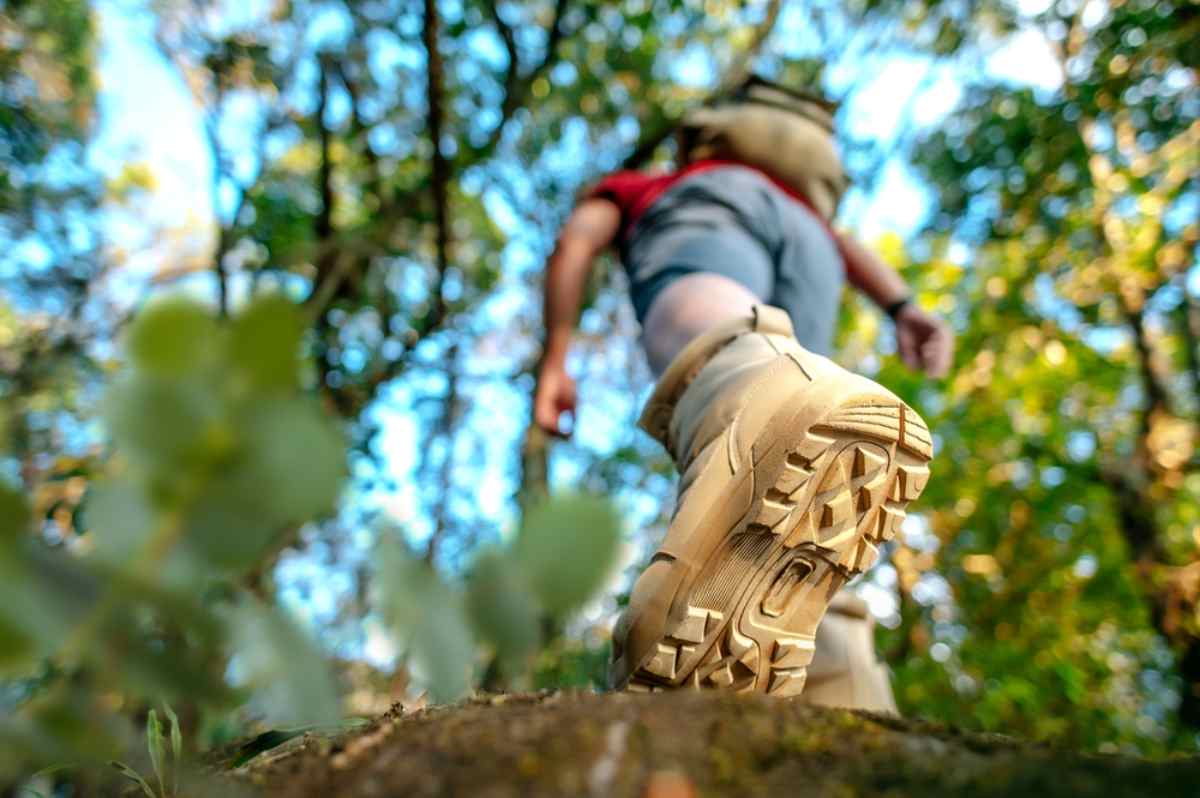 Close-up of a hiker’s boot sole stepping through a forest trail, low-angle view.
