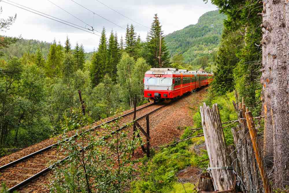 Bergen train