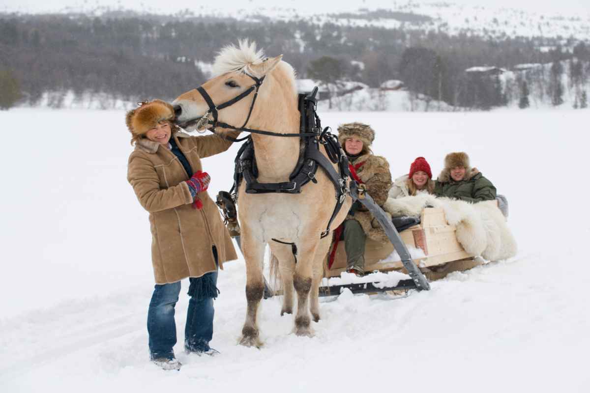 Sleigh ride in Norway's Roros Horse-drawn sleigh ride in a snowy landscape, with bundled-up visitors sitting on the sleigh behind the harnessed horse.