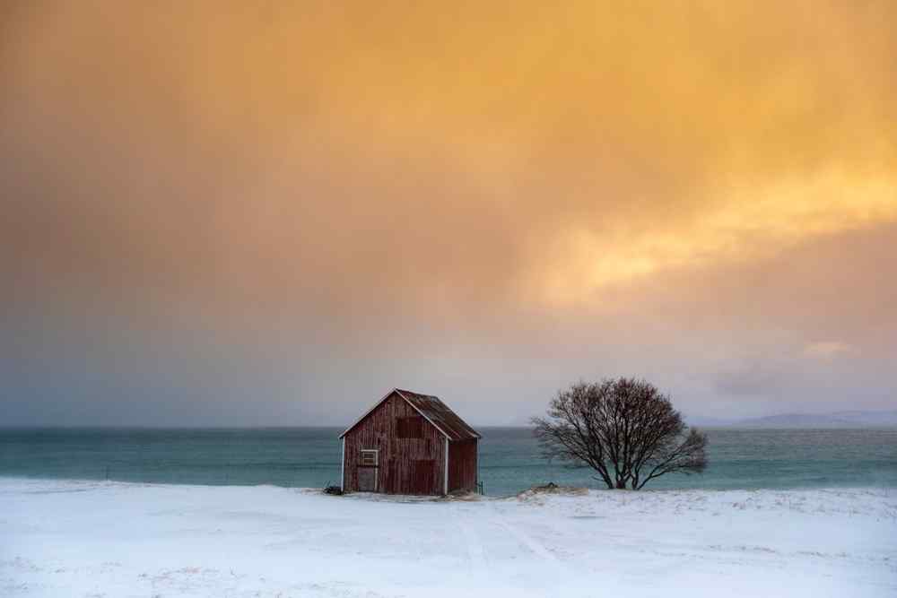 Weather in Norway Small wooden cabin and bare tree in a snowy Norwegian landscape beneath a dramatic sky.
